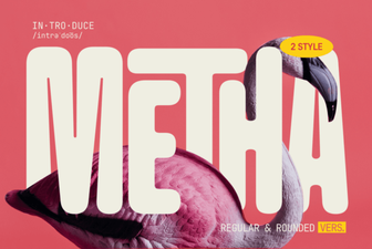 Metha Font: Creative Design Ideas for Modern Projects