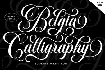 Belgian Calligraphy Font Designs & Inspiration